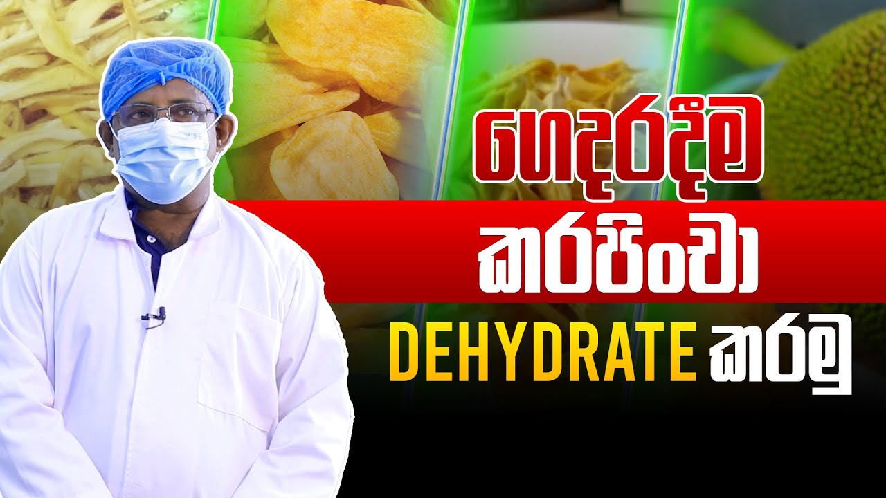 ගෙදරදීම කරපිංචා Dehydrate කරමු