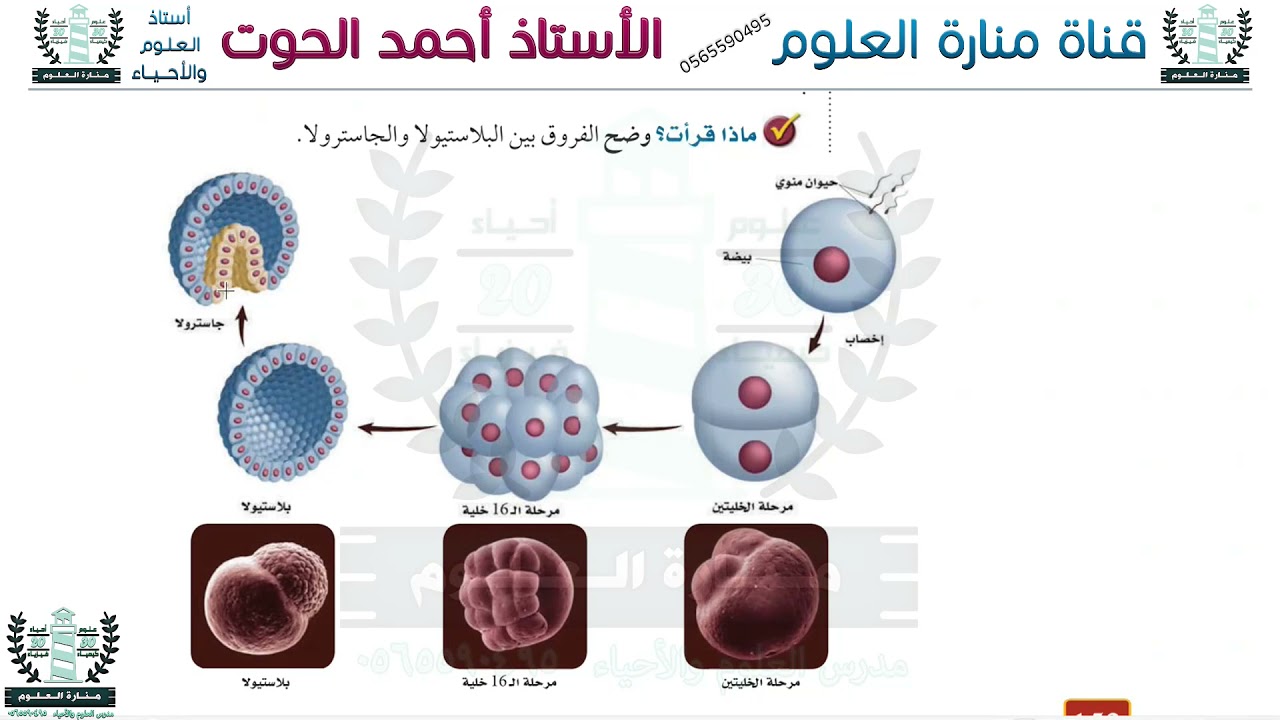 المراجعة النهائية الرابعة احياء 1ث 2021