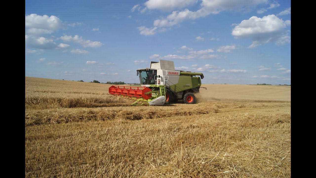 Żniwa Pszenicy 2015 w O.H.Z Osiek. :P [Małopolska]