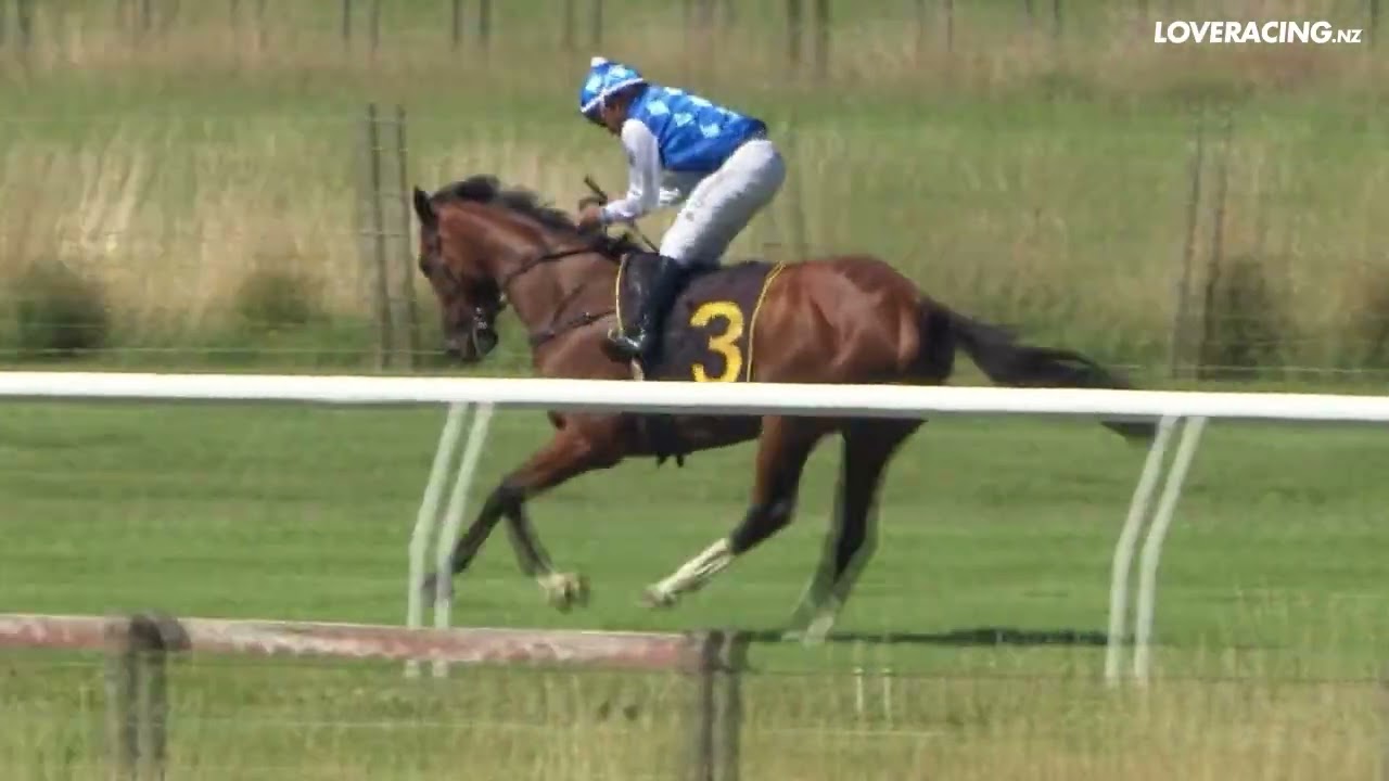 Listed - Clubs NZ Wairarapa Thoroughbred Breeders’ Stakes - Nigella Lane