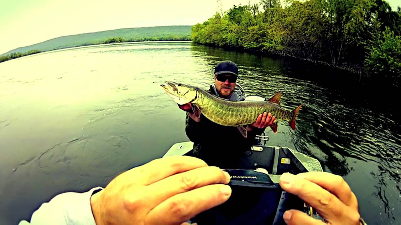 Gopro Levels (Susquehanna river fishing)
