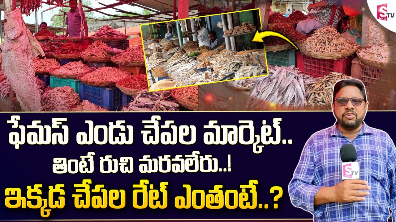 Sunday Special Fish Market in Tadepalligudem | West Godavari | Variety Dry Fish Available