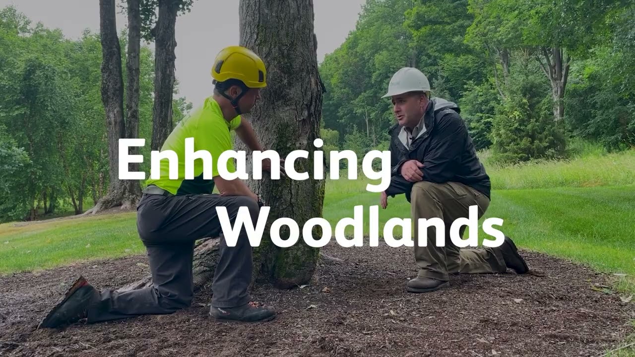 Woodland Management