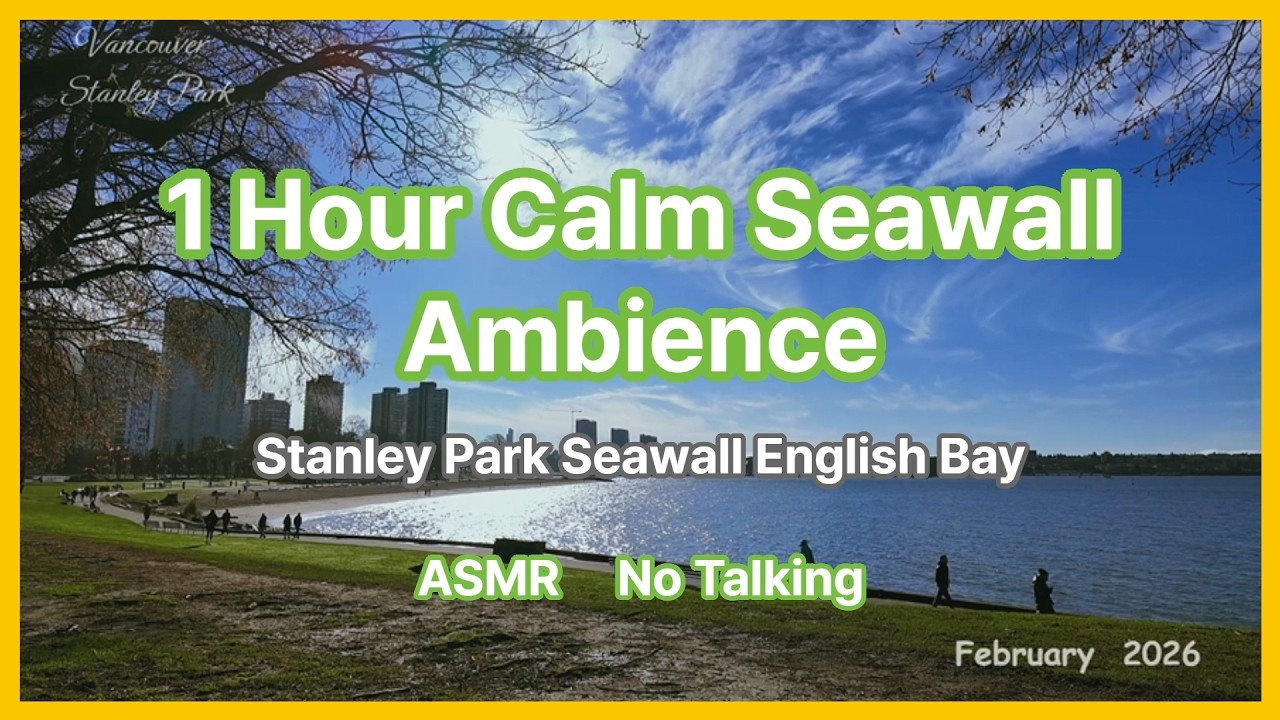 Sunny Winter Day 1 Hour Calm Seawall Ambience | Vancouver ASMR