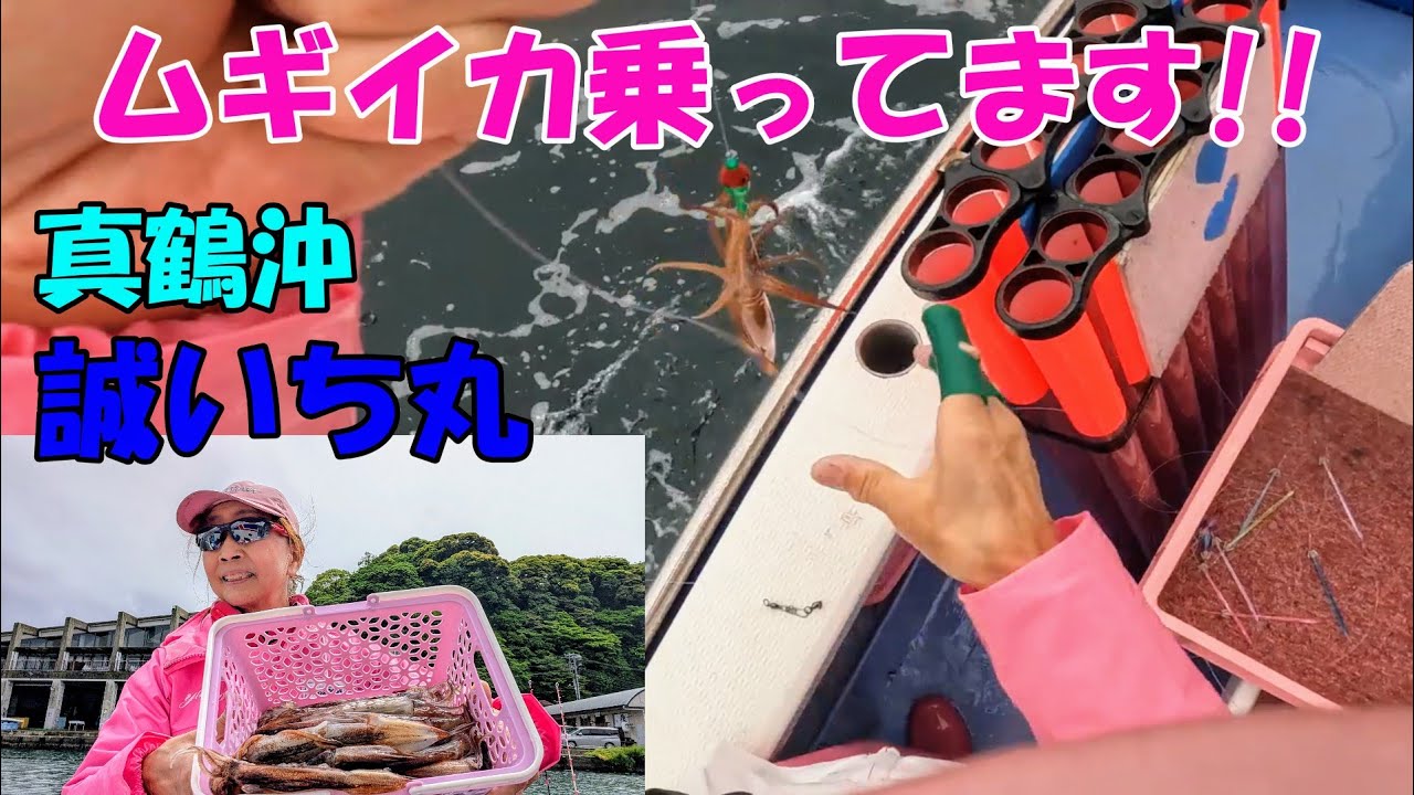 真鶴沖ムギイカ乗ってます！