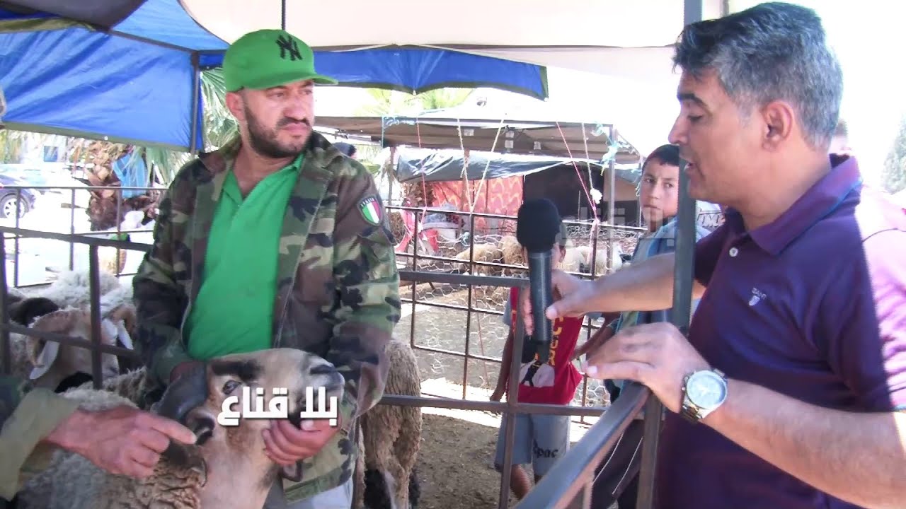 علوش دوريجين سلعة اليابان وبياسات ألمان يعلف الصوجا والفول والقطانيا بزوز ملاين في رحبة الملاسين !!