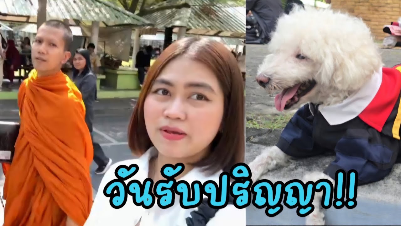 วันรับปริญญา!! #แมวจร #catlover #cat #ผู้กองแขกกับแมวจร Vol.2 