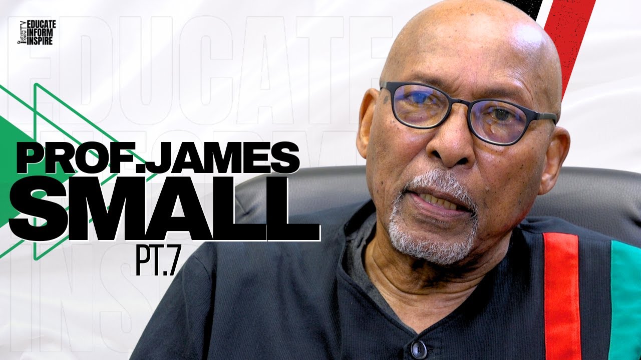 Prof. James Small: Majority Of The Black Police Officers In This Country Are Cowards Because.. Pt.7