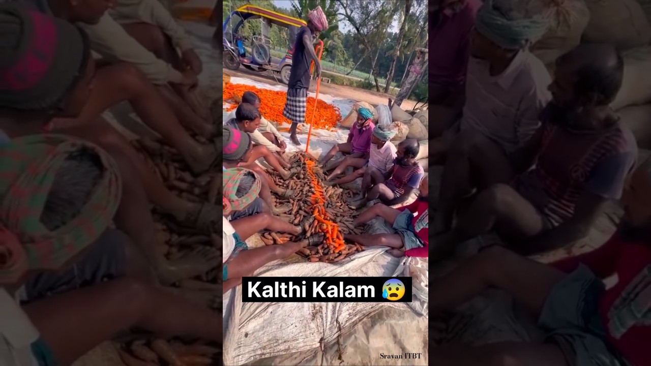 #color carrot 🥕 #making #process #chemicals #trending #viral #shorts #reels #subscribe #1m #like