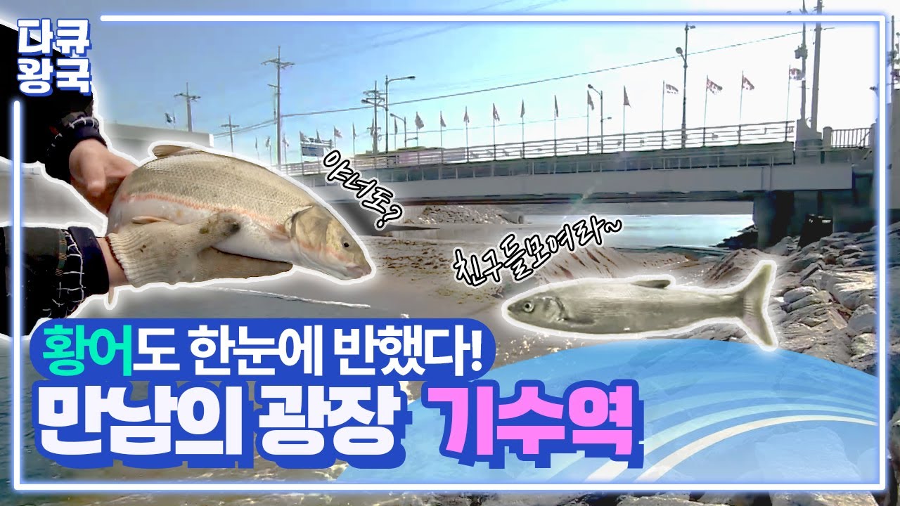 포식자도 없고, 영양염도 풍부한 자연계의 &ldquo;파라다이스&rdquo;. &ldquo;기수어의 유치원&middot;서식처&middot;보호처&rdquo; 이름은 하나인데 별명은 서너 개인 기수역 [기수-1부]