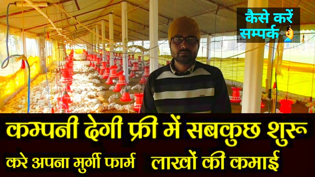 company के साथ मिलकर शुरु करे अपना मुर्गी फॉर्म | how to start poultry farm with company | FARMING;