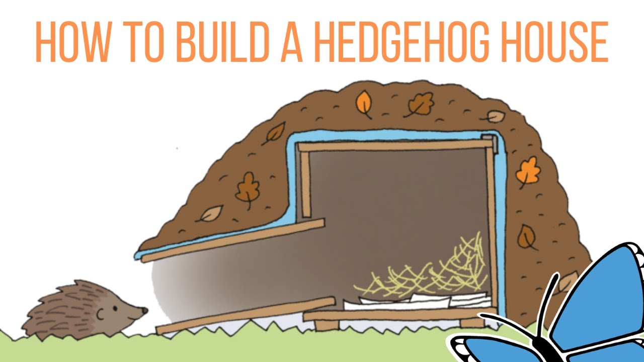 How to Build a HEDGEHOG HOUSE 🦔 | Wild at Home with KWT 🦋