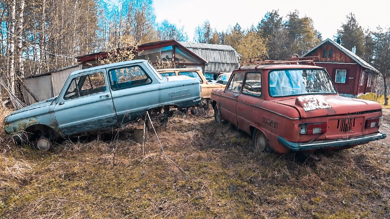 Запорожцы ГОДАМИ стояли в лесу. Оживим?