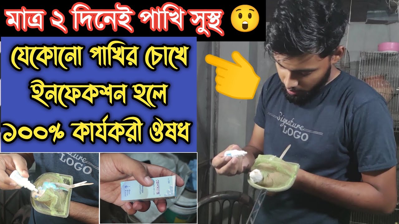 পাখির চোখে ইনফেকশন | | পাখির চোখ ফুলে ওঠা \\ পাখির চোখ দিয়ে পানি পড়া || birds eye infection bangla 🐦