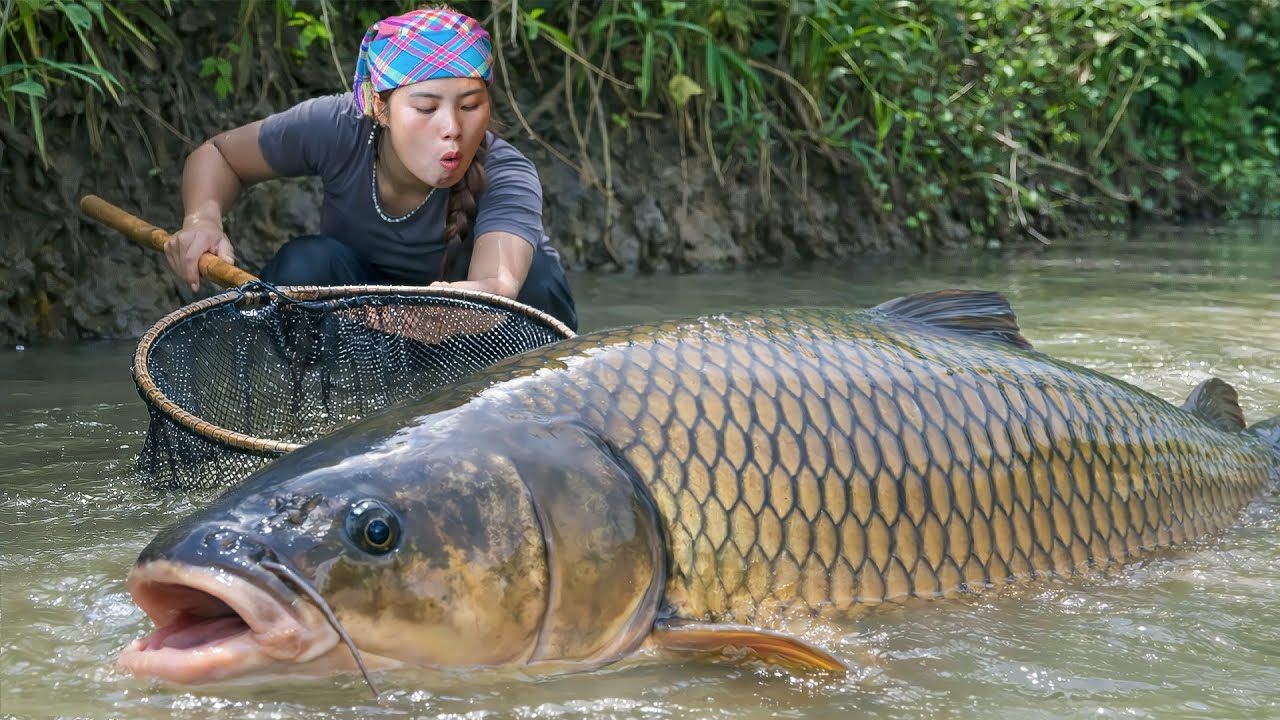 How to Catch fish and Trap fish to Sell at Market - Buy New clothes & Milk with Single mom