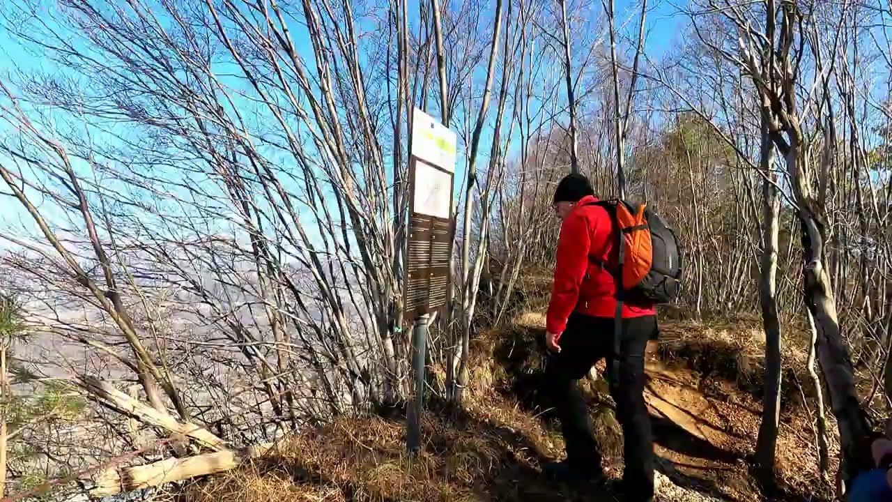 Monte di Ragogna La mulattiera militare, CAI 813. la grande guerra. Seconda parte