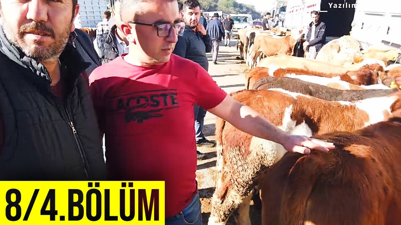 Hayvan Pazarı (Gerede Panayırı) 4.Bölüm