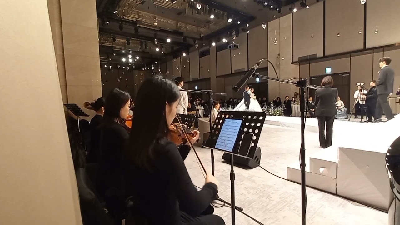 조선팰리스 피아노4중주 신부입장 (Someday my prince will come_백설공주 ost)