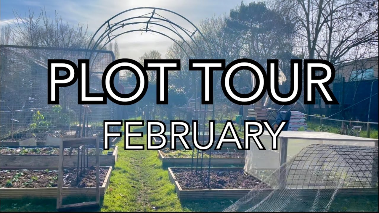 The Garden in February || ALLOTMENT PLOT TOUR || Plot 37