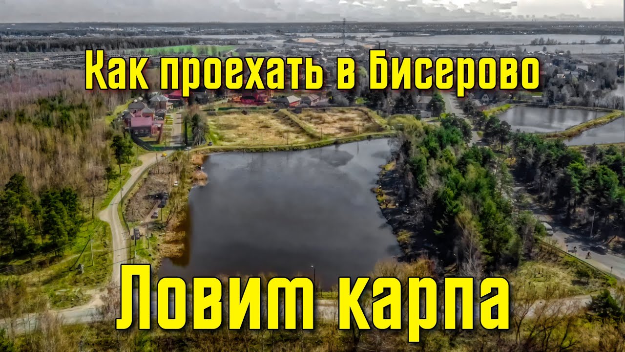 Как проехать в Бисерово. Ловим карпа на Головном пруду.