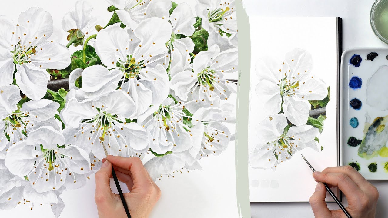 How to paint white flowers in watercolor with Anna Mason