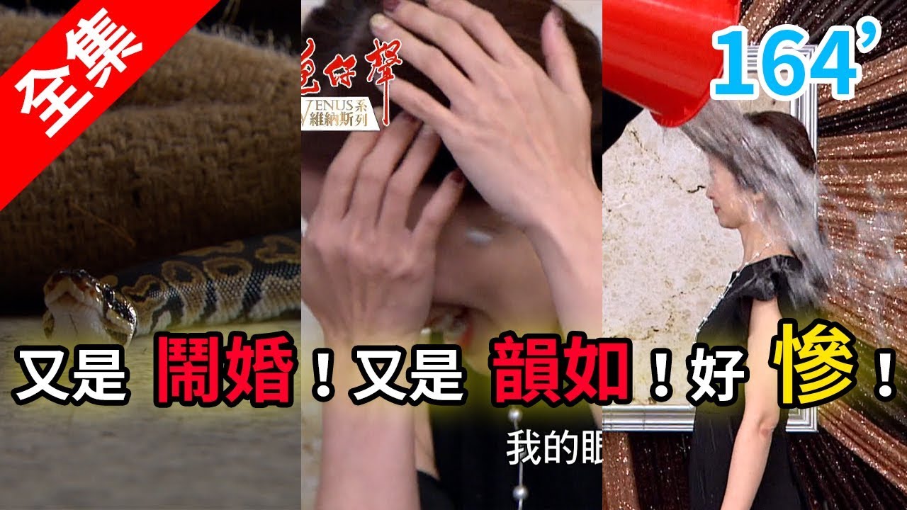 炮仔聲 第164集 The sound of happiness EP164【全】｜山本富也維納斯系列
