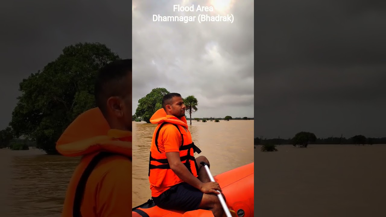 flood area dhamnagar (Bhadrak)