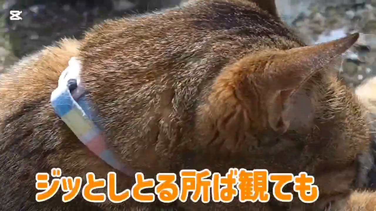 お知らせ…✨️2941