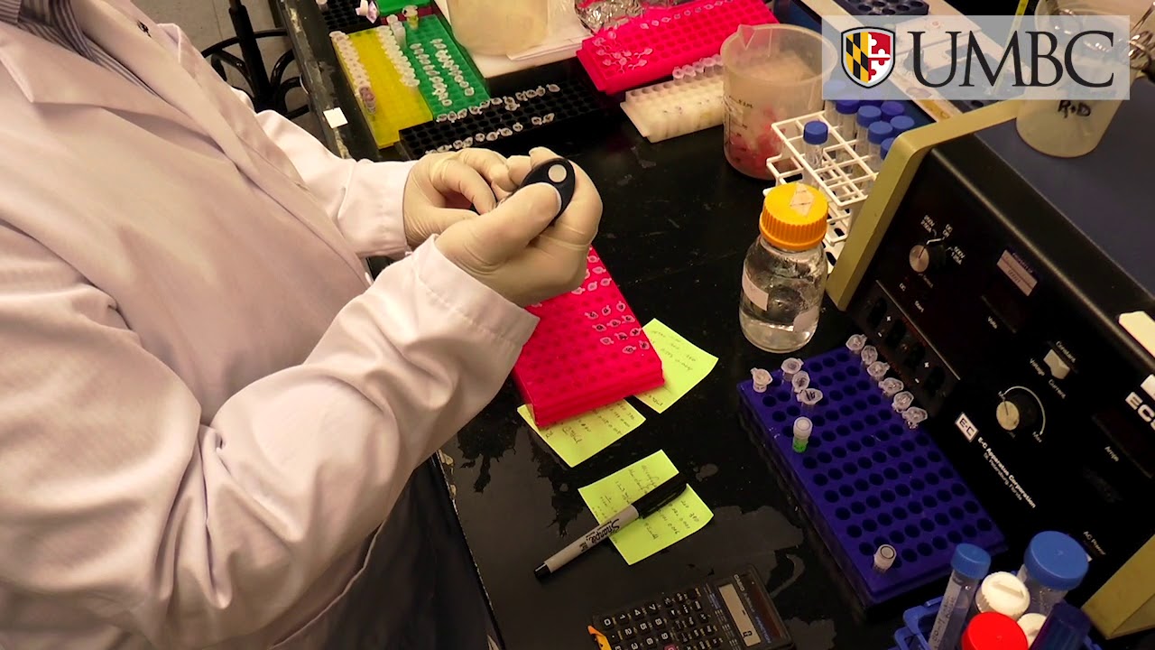 UMBC Biotechnology Graduate Program, Alumnus Cameron Rhode