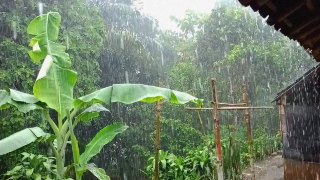 Звуки сильного дождя 🌧️ Глубокий сон и расслабление — Спокойный дождь для сна