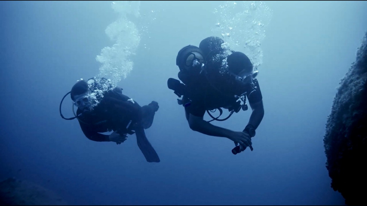 Scuba diving in Greece  - Gorgonia diving club