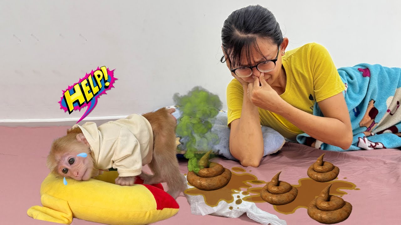 Lucky is smart and knows how to ask his mother for help after pooping on the bed – Disaster! 😱