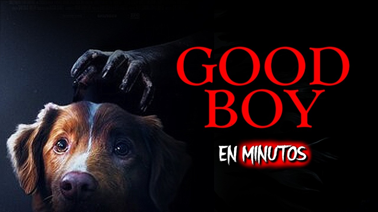 GOOD BOY: El Perro mas fiel que HACHIKO