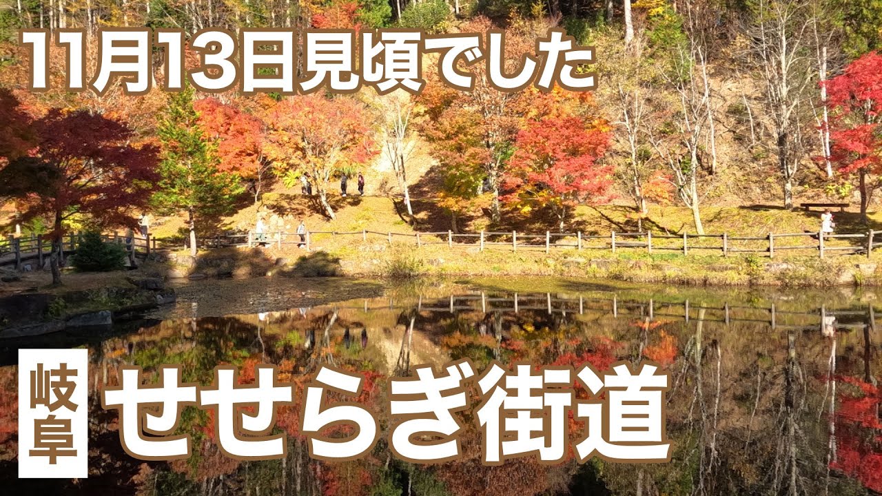 岐阜の紅葉　せせらぎ街道