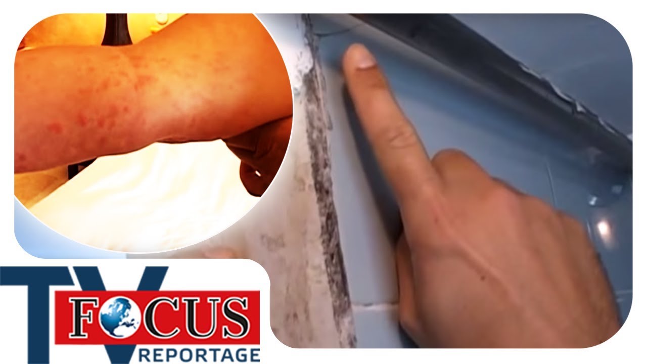 Schimmel-Alarm im Horror Hotel - Wenn der Urlaub zur Gesundheitsgefahr wird | Focus TV Reportage