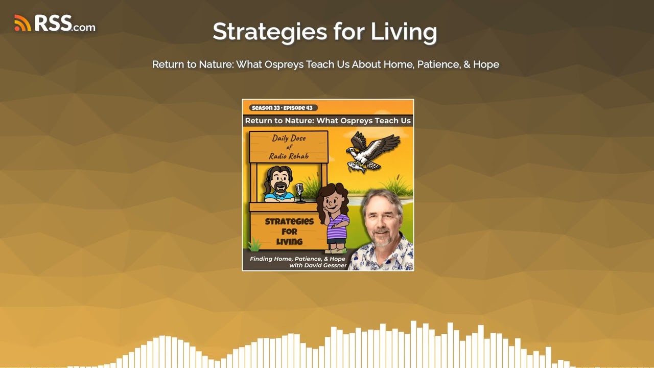 Return to Nature: What Ospreys Teach Us About Home, Patience, & Hope