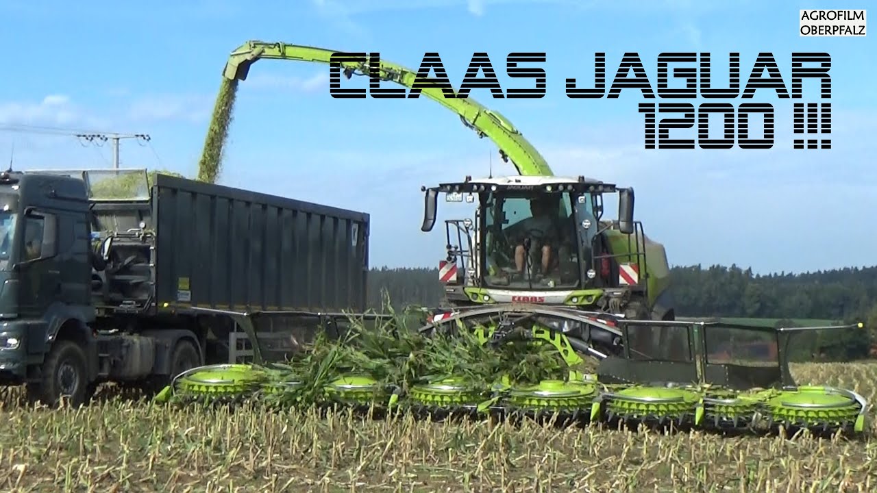 Eine neue Dimension | Claas Jaguar 1200 mit Orbis 10500 | 14 Reihen | Maishäckseln 2025 | LU Gebhard