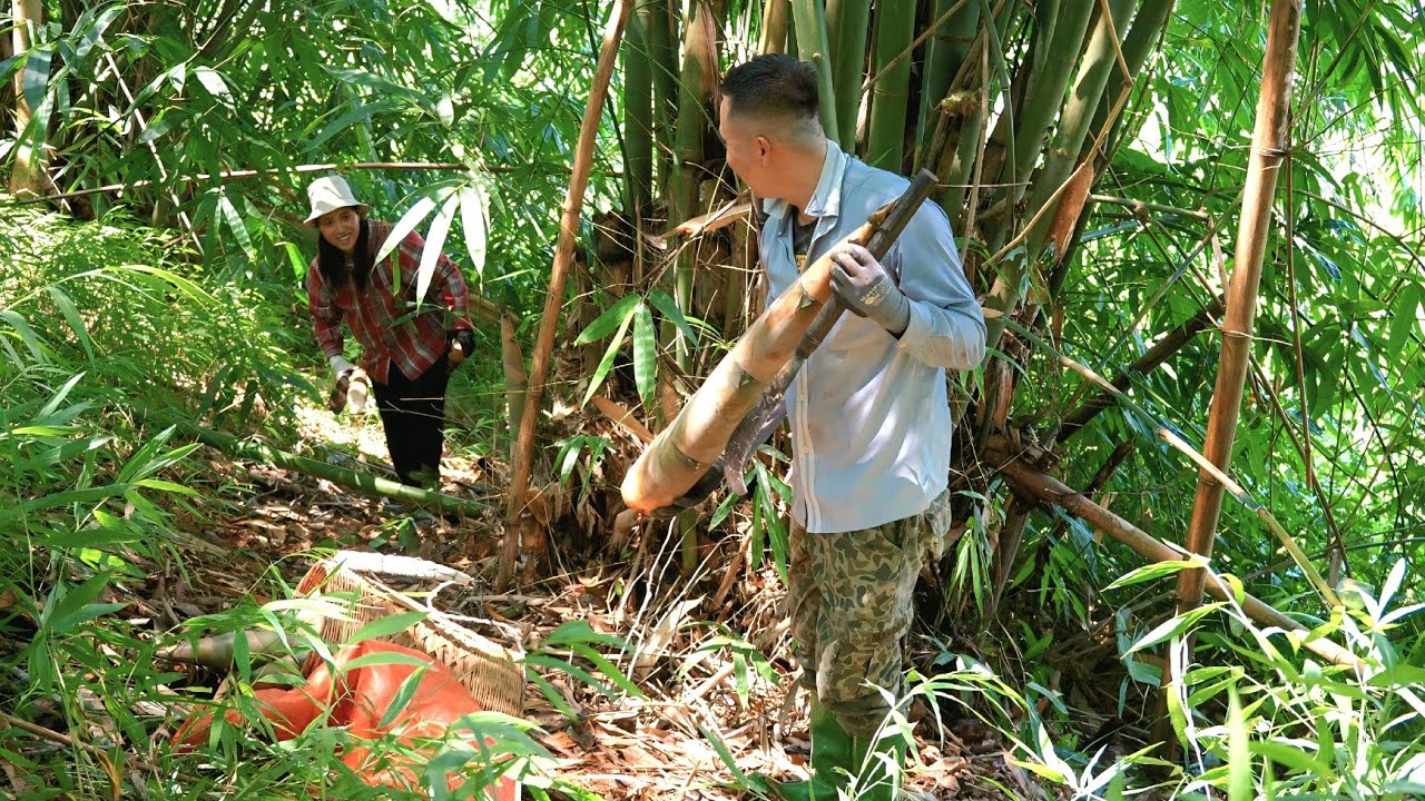 We got a lot of giant bamboo shoots. Delicious dishes from bamboo shoots