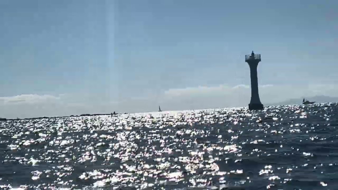2026年2月1日　材木座〜逗子〜葉山〜江ノ島　ガスティーな南風中風
