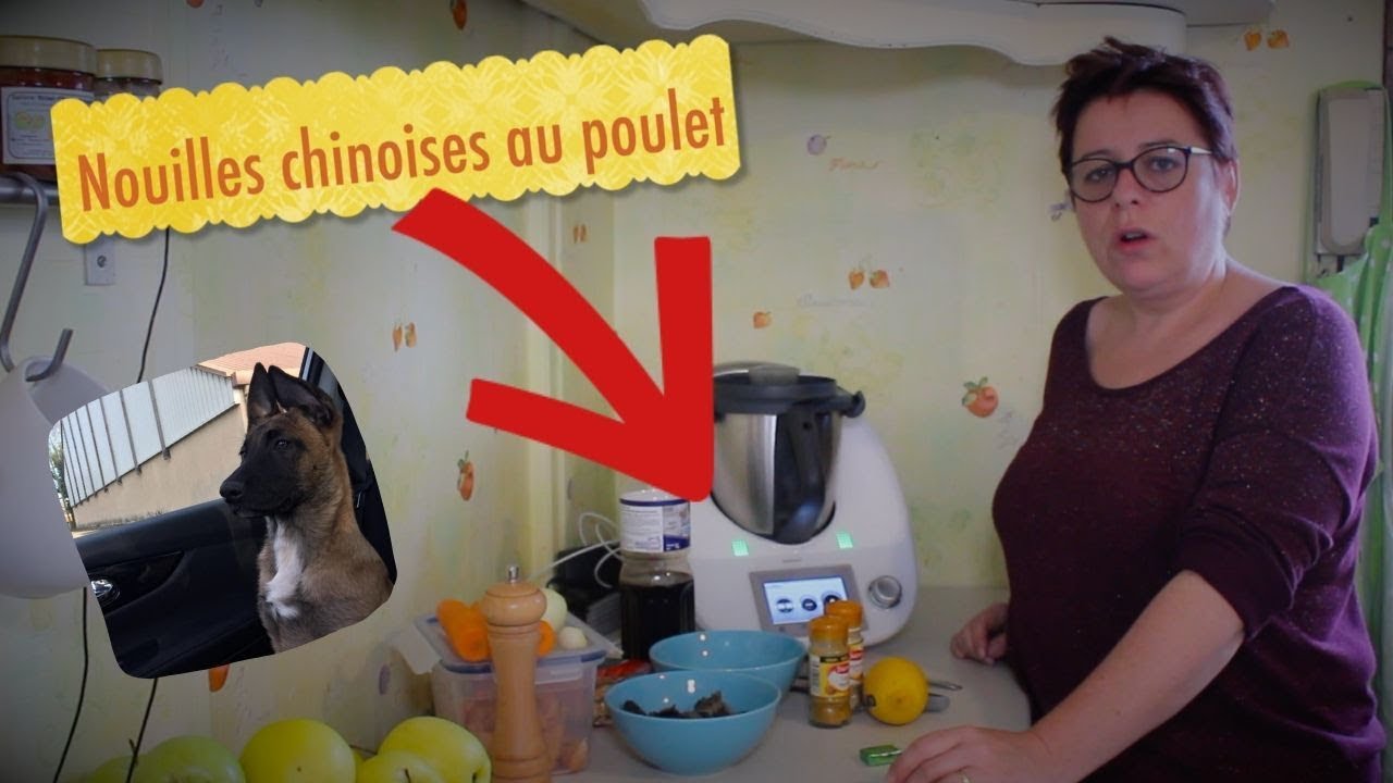 Recette NOUILLE asiatique au POULET au THERMOMIX