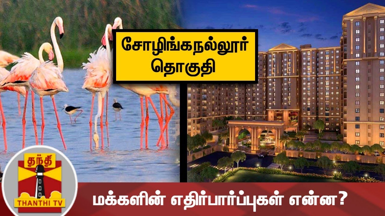 (20.03.2021) இன்றைய தொகுதி சோழிங்கநல்லூர் - மக்களின் எதிர்பார்ப்புகள் என்ன? | Sholinganallur
