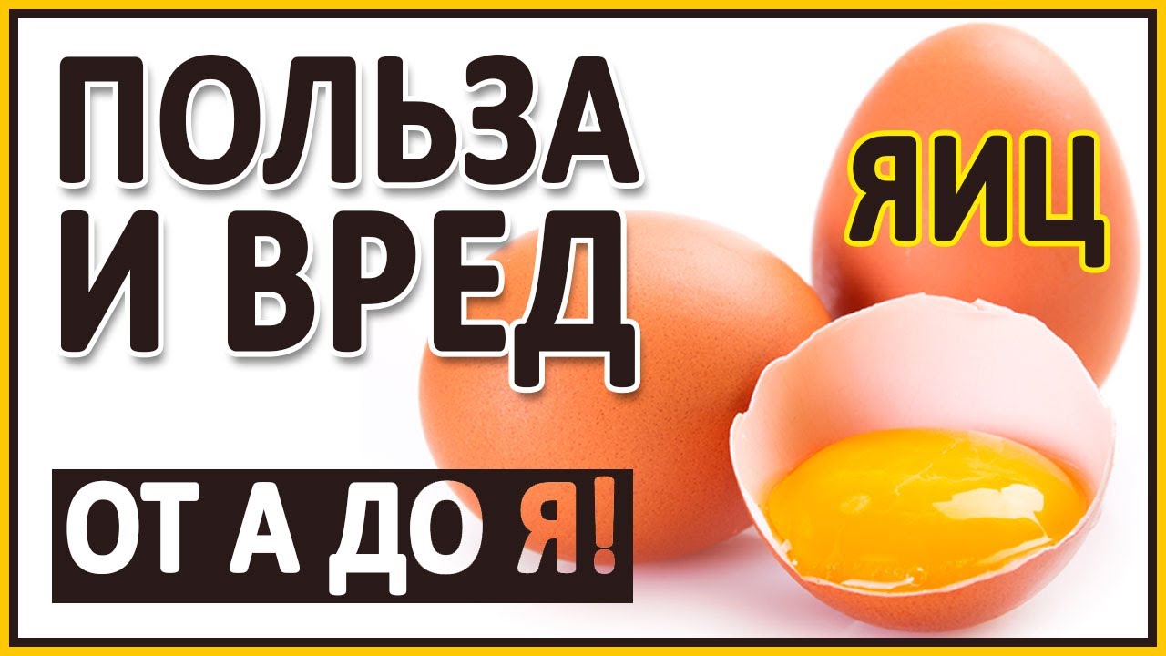 ЯЙЦА. Польза и вред Яиц! Полный разбор! D3, В12, желток, белок, Омега 3, холестерин, лецитин, куры.