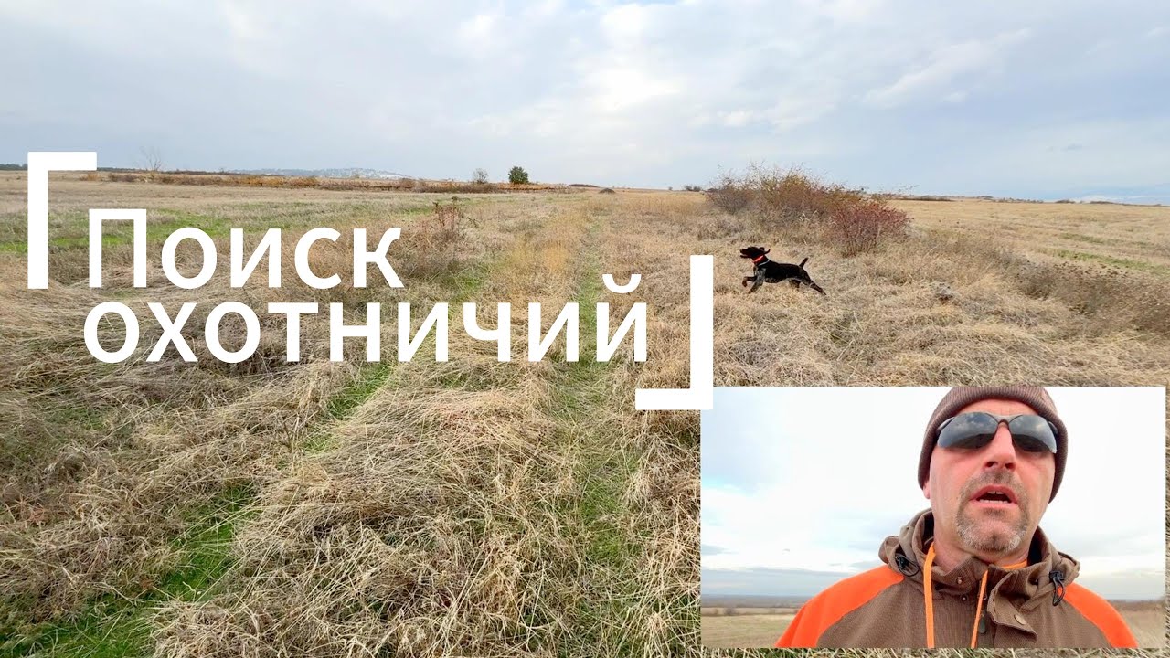 Основа все вида поиск - охотничий поиск…