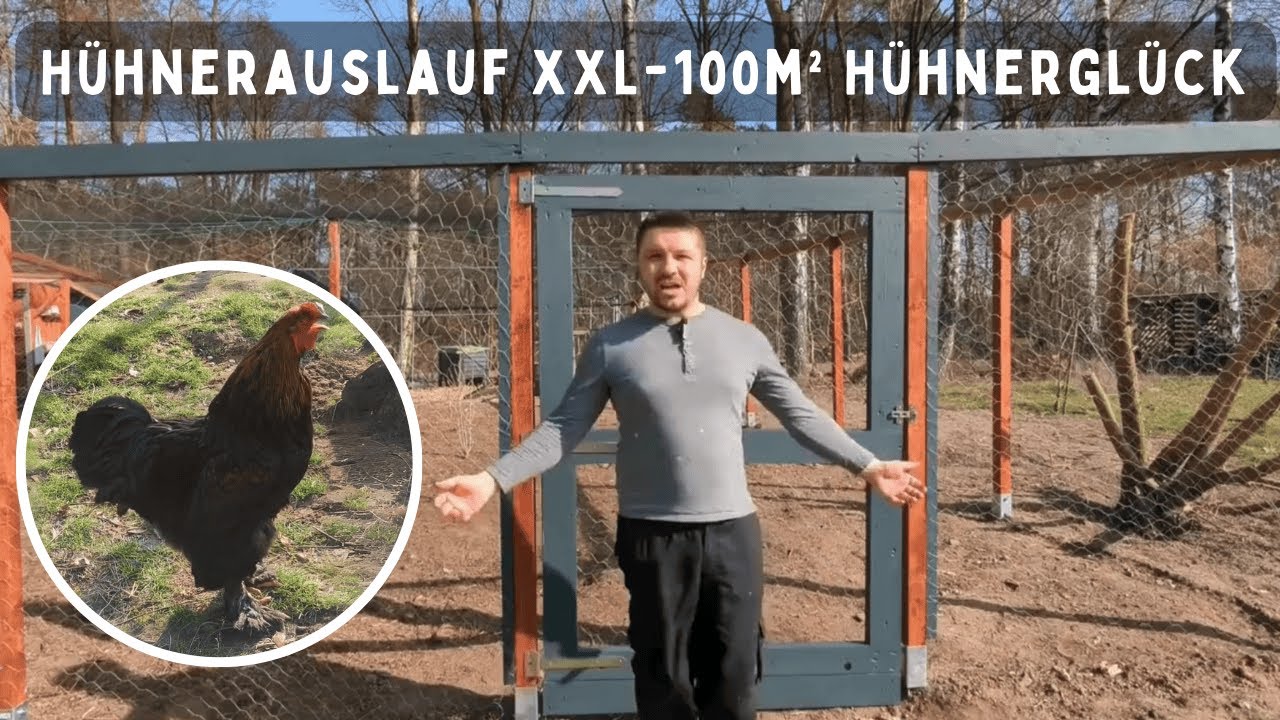 XXL Voliere selber bauen – 100m² sicherer Hühnerauslauf #handwerk  #diy #hühnerimgarten