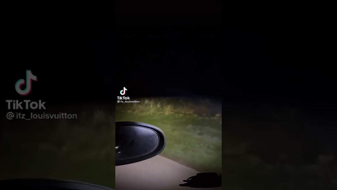 That’s Rake or that damn SCP-096  caught on video