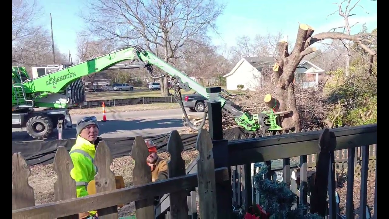 She came down y'all!!  Part two  #treecutting