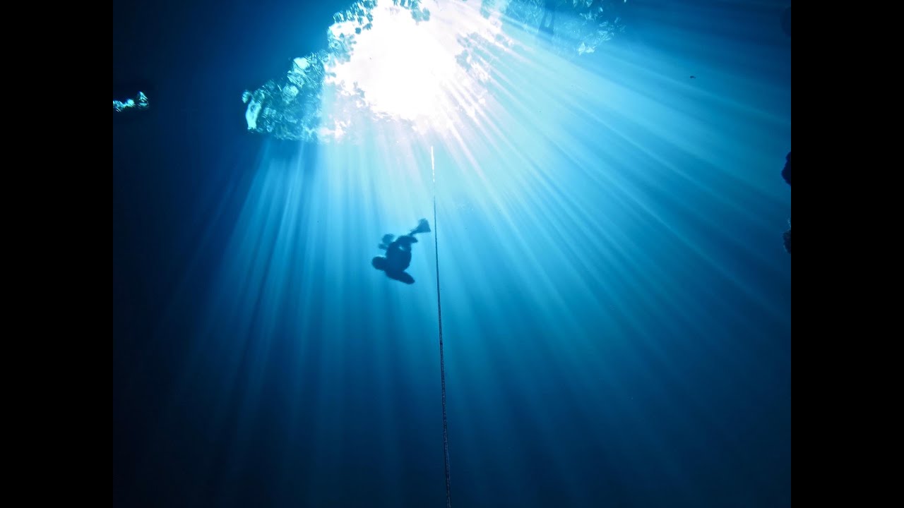 Free Diving Playa del Carmen (Freediving Mexico)