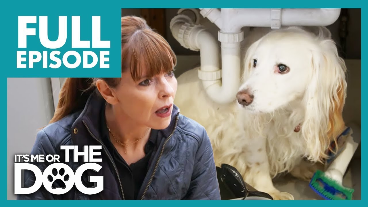 Dog RUNS & HIDES When Hearing The Word 'Fireworks' | Full Episode 112 | It's Me or the Dog