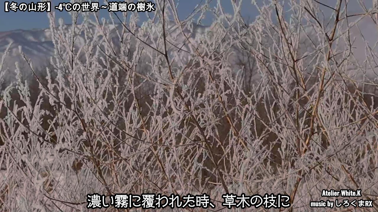 【冬の山形】ー４℃の世界～道端の樹氷