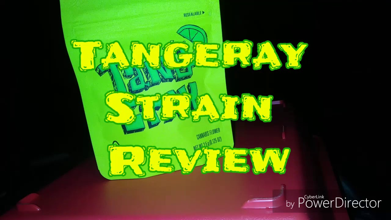 Tangeray Strain Review by Lemonade #flavorsourthing #cookiesfam